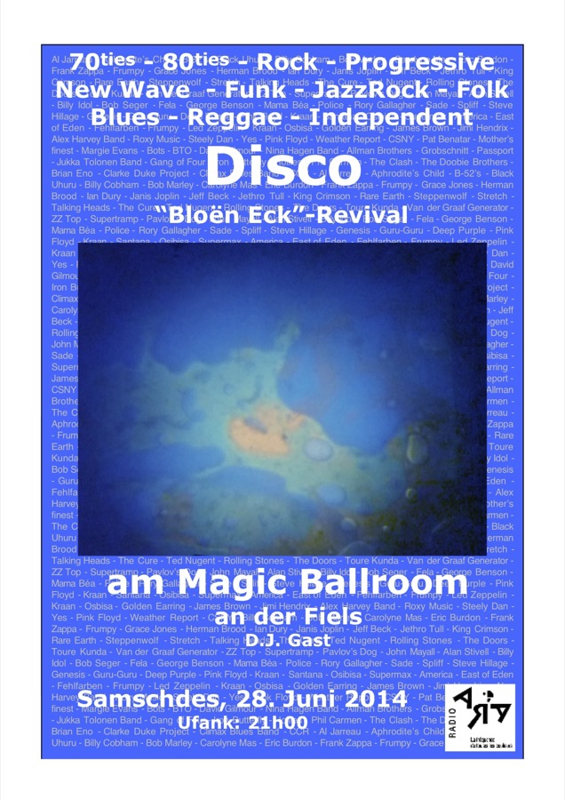 Disco Fiels 2014_900.jpg